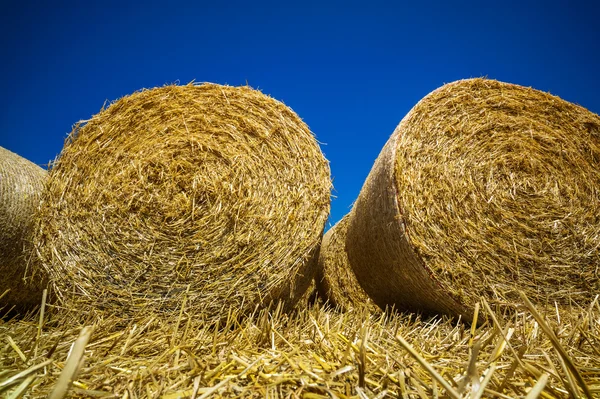 Balles de paille de céréales — Photo