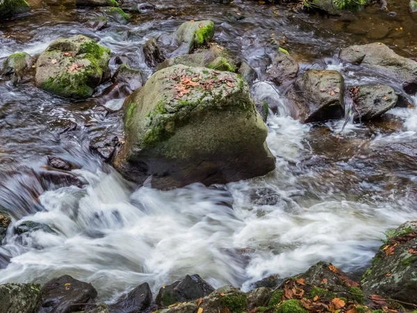 Ruisseau avec eau courante — Photo