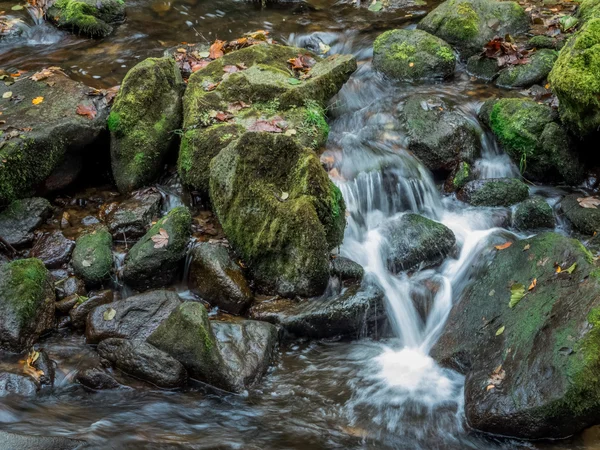 Riacho com água corrente — Fotografia de Stock