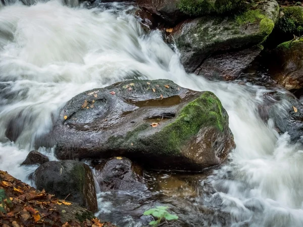 Creek met stromend water — Stockfoto