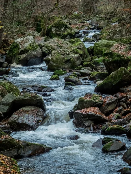 Creek met stromend water — Stockfoto