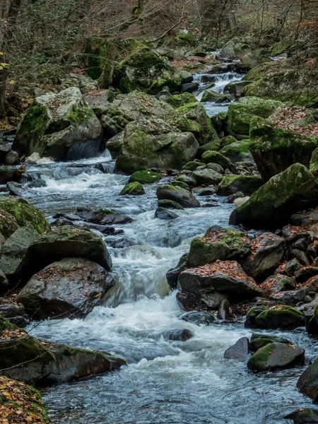 Creek z bieżącą wodą — Zdjęcie stockowe