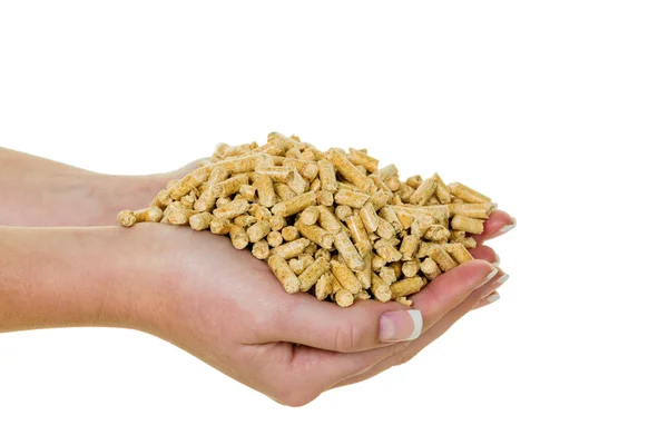 Hand met pellets als een oude natie energie — Stockfoto