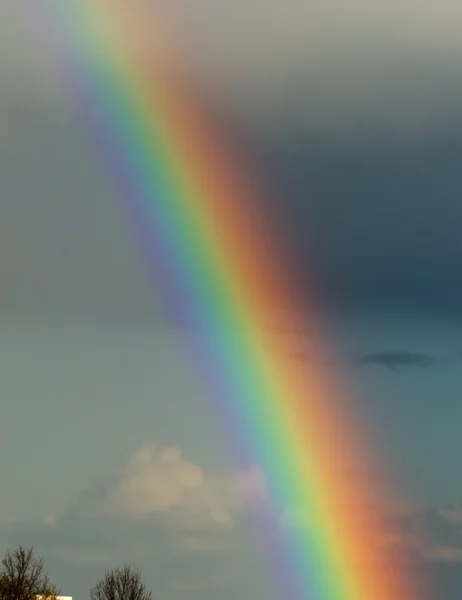 Regenboog — Stockfoto