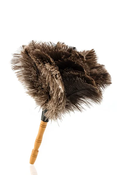 Feather duster against white background — Stock Photo, Image