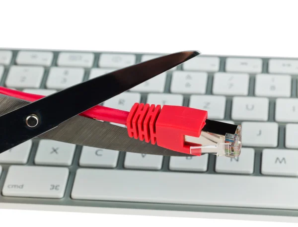 Network cable of a computer — Stock Photo, Image
