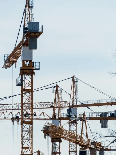 Several cranes on construction site — Stock Photo, Image