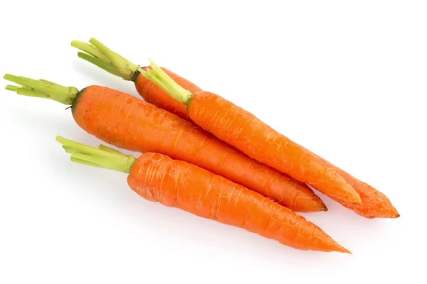 Fresh carrots — Stock Photo, Image