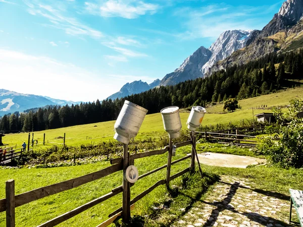 Melk blikjes op een berg weiland — Stockfoto