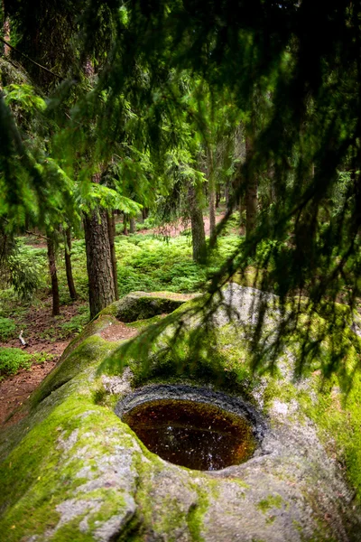 Neder-Oostenrijk, kautzen, Schorpioen plaats — Stockfoto