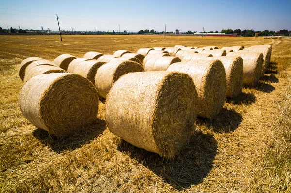 Bales of straw and cereals on a field — Stock Photo, Image