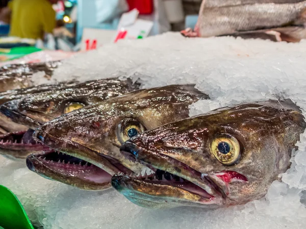 Рыба на рыбном рынке — стоковое фото