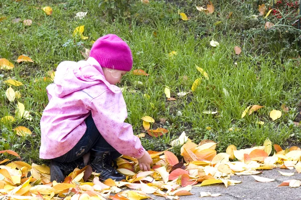 Girl in autumn — Stock Photo, Image