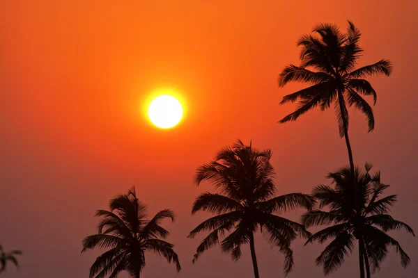 Sunset in Goa — Stock Photo, Image