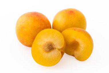 Sarı Erik, bütün ve düzenlenen 