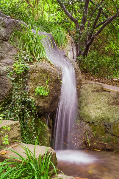 其中植物小公园瀑布 — 图库照片