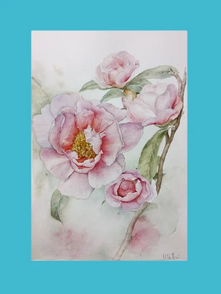 Pink Flower Watercolor Illustration ストック画像