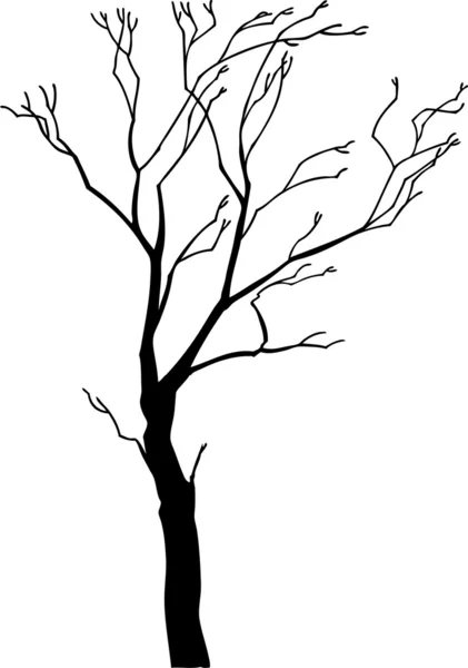 Arbre — Image vectorielle