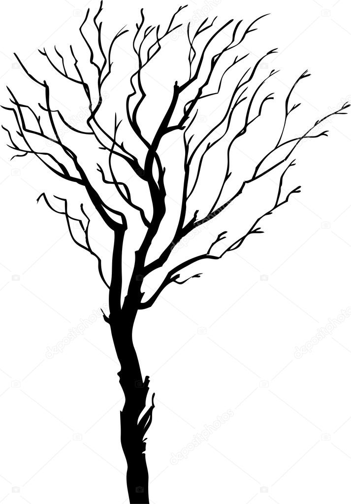 Tree silhouette