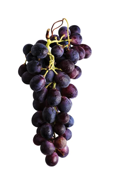 Bunch of grapes on a white background — Stock Photo, Image