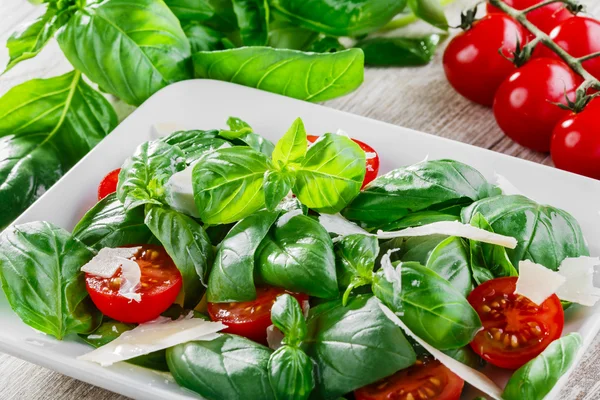 Salad with basil and cherry tomatoes — Stock Photo, Image