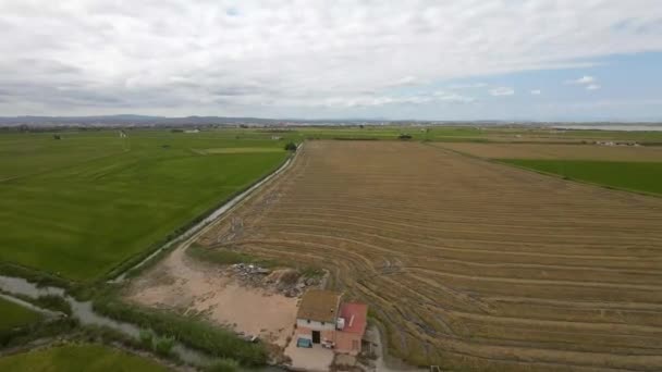 2022年9月20日瓦伦西亚Albufera绿黄稻田空中景观 — 图库视频影像