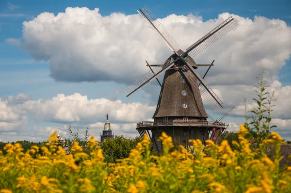 Mill in summer day — Stock Photo, Image