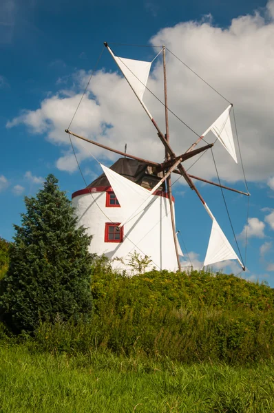 Molen in zomerdag — Stockfoto