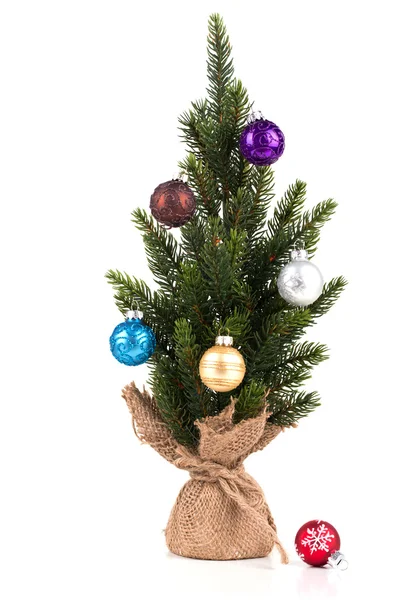 Weihnachtsbaum — Stockfoto