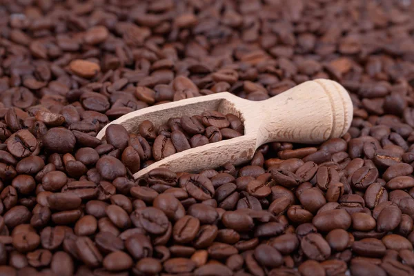 Koffiebonen en houten schep — Stockfoto