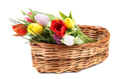 Beyaz arkaplanda laleler