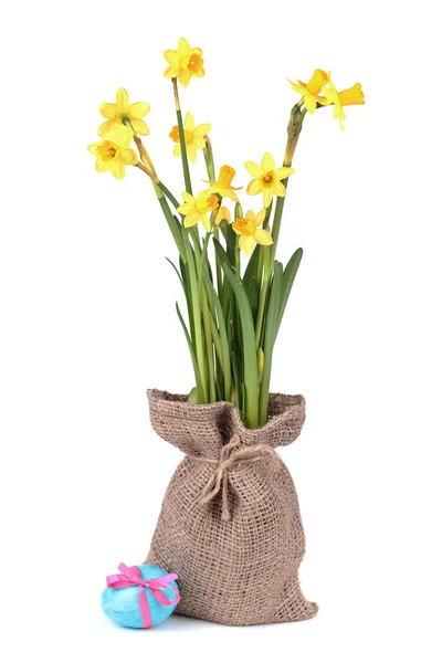 Yellow daffodils — Stock Photo, Image