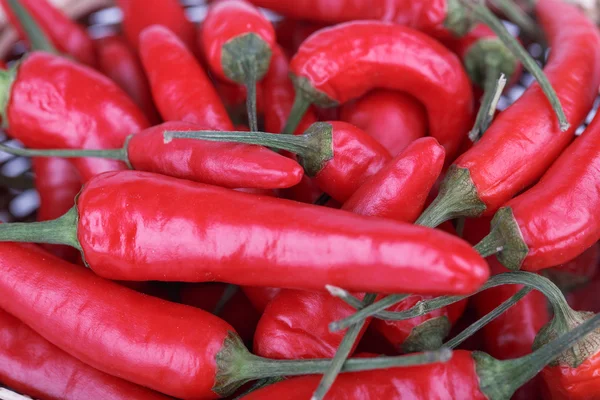 Red hot pepper — Stock Photo, Image