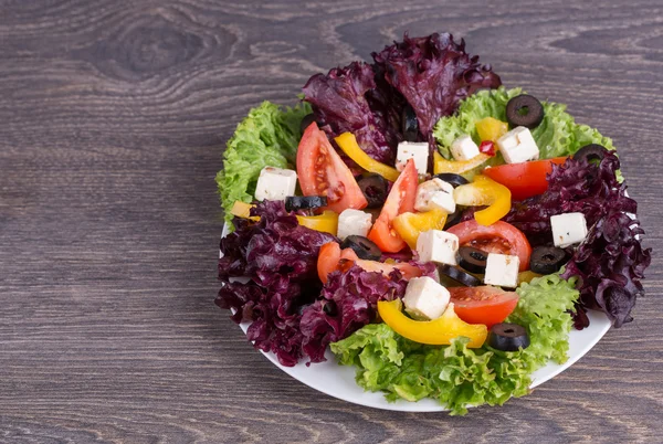 Fräsch sallad — Stockfoto