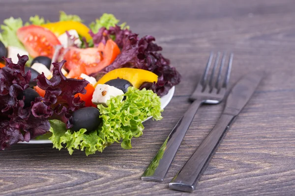 Fräsch sallad — Stockfoto