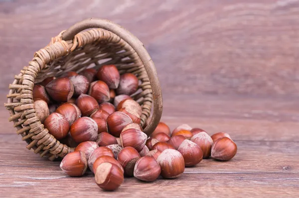 Hazelnut — Stock Photo, Image