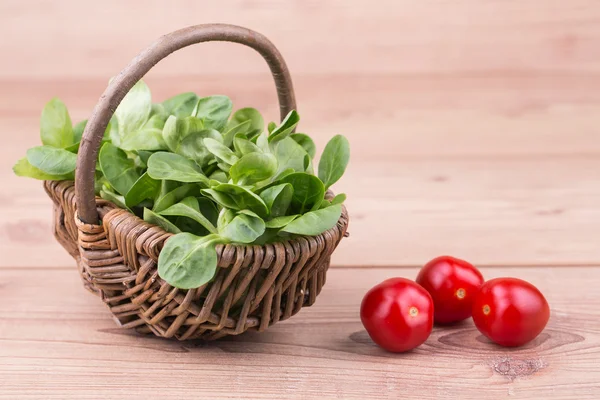 Fresh vegetables — Stock Photo, Image