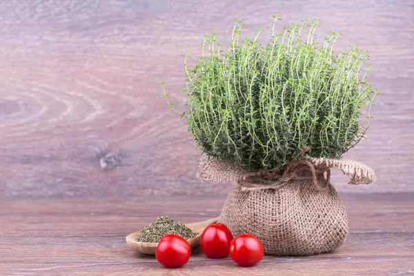 Fresh thyme — Stock Photo, Image