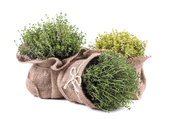 Fresh herbs — Stock Photo, Image