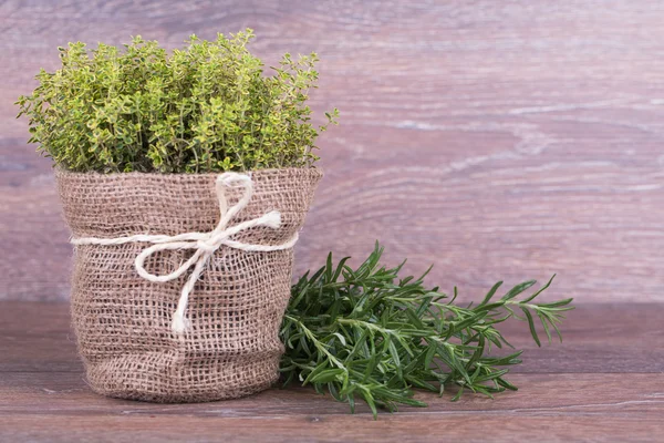 Fresh herbs — Stock Photo, Image