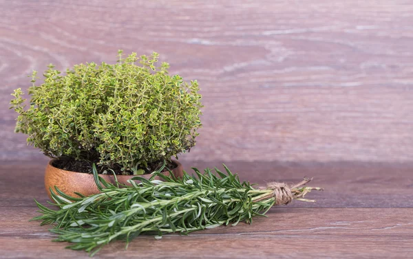 Frische Kräuter — Stockfoto