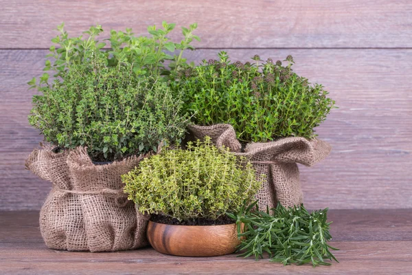 Fresh herbs — Stock Photo, Image