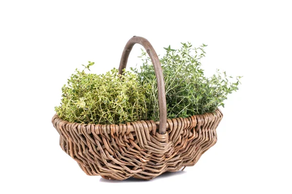 Fresh herbs — Stock Photo, Image