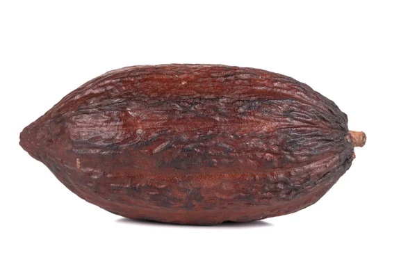 Плоды какао — стоковое фото