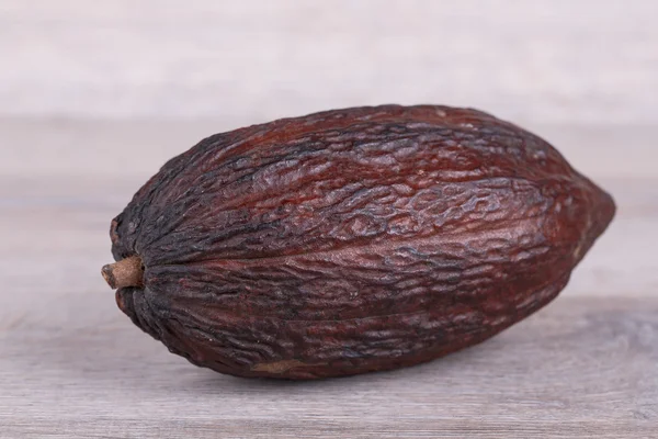 Kakaofrugt - Stock-foto