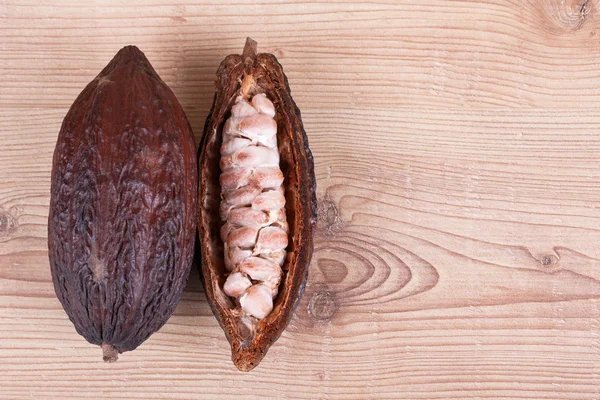 Fruits de cacao — Photo