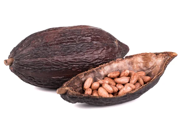 Kakao meyvesi — Stok fotoğraf