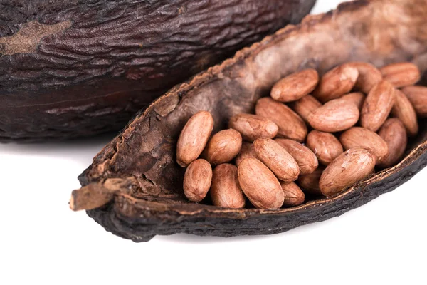 Какао фрукти — стокове фото