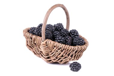 Sepette böğürtlen