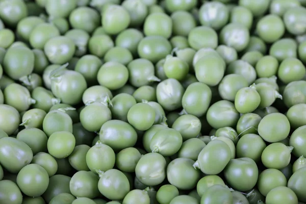 绿豌豆背景 — 图库照片